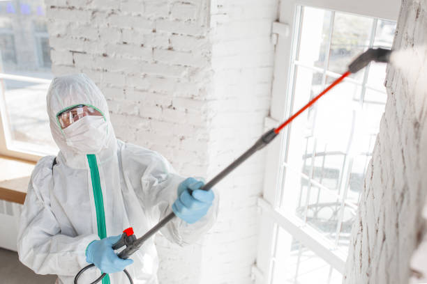 Reliable Colorado City, AZ Mold Removal Solutions