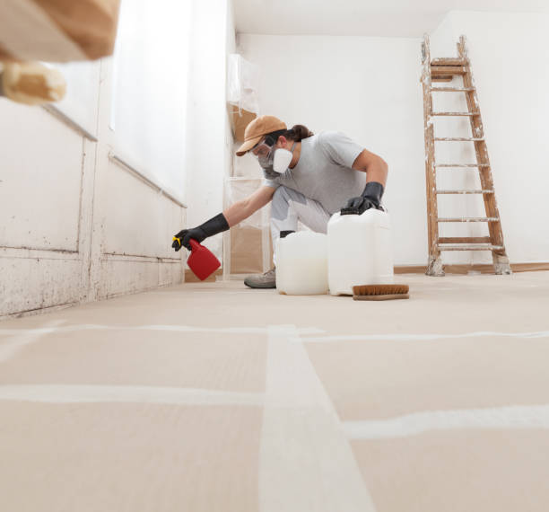 Best Post-Remediation Verification Testing  in Colorado City, AZ
